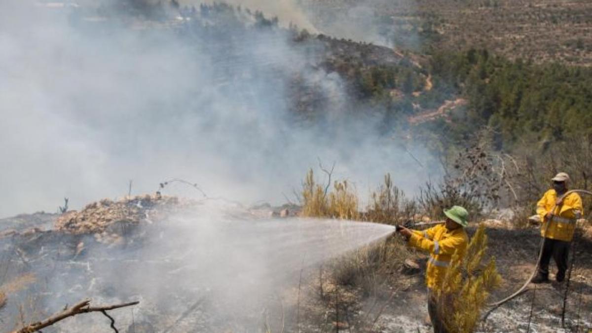 imagini dramatice in ierusalim oamenii si au parasit casele din cauza unui incendiu