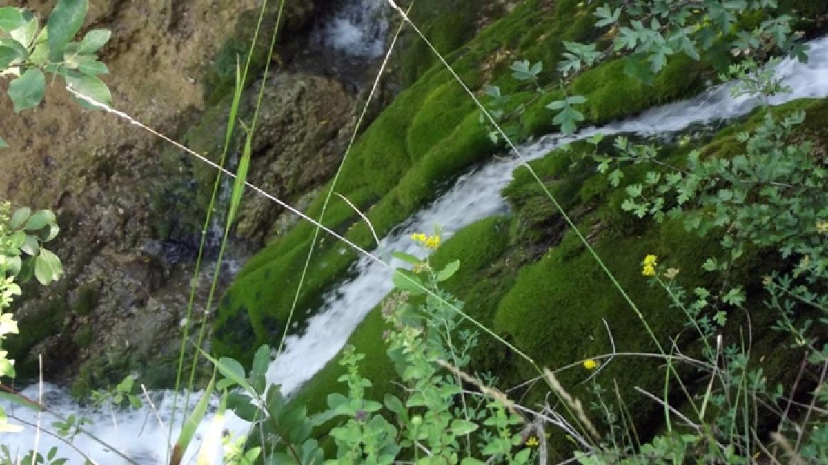 aceasta cascada din apropiere de timisoara ar putea o detrona pe celebra bigar imagini spectaculoase