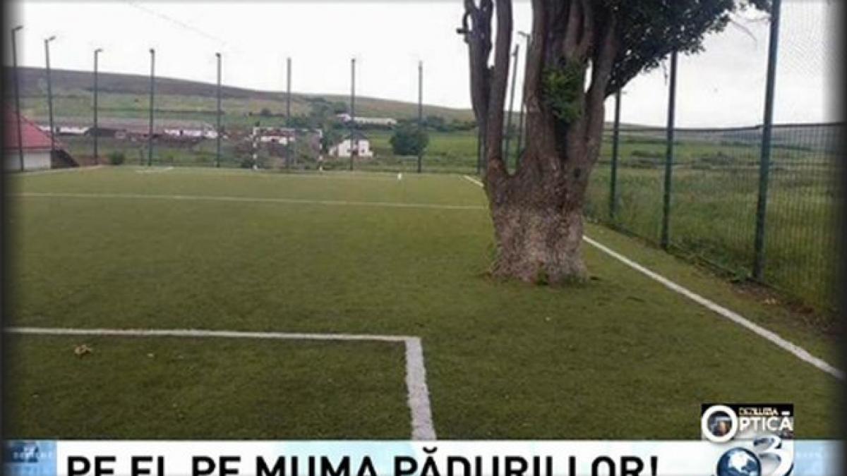 deziluzia optica pe ei pe muma padurii lor