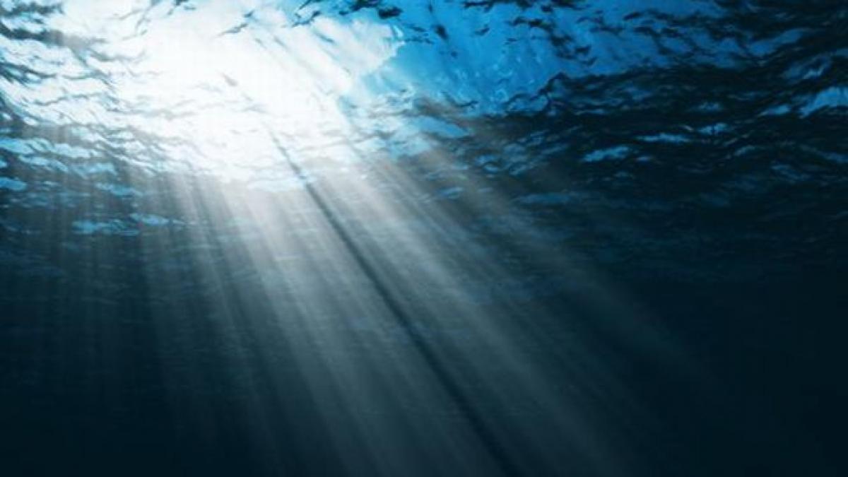 fenomenul care ameninta numeroase specii marine greu de oprit