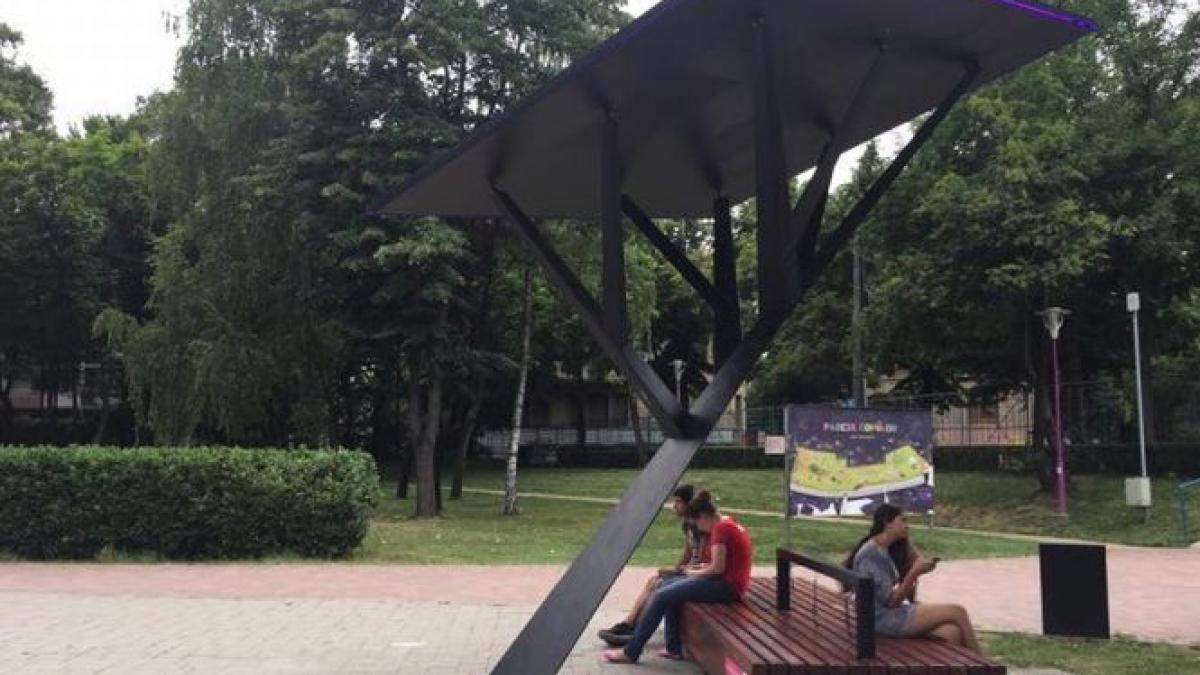 primul copac electric din romania care oferea conexiune wireless la internet a fost distrus