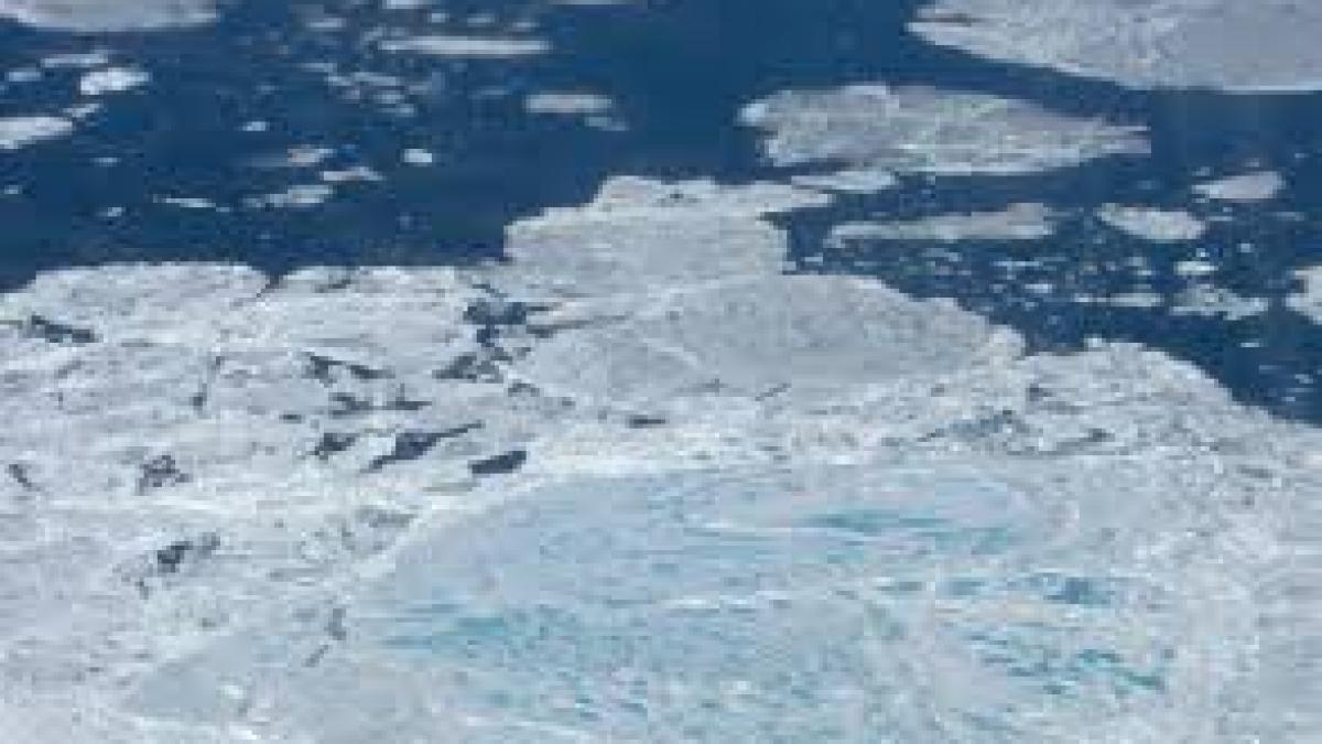 rusia revendica un teritoriu urias in arctica
