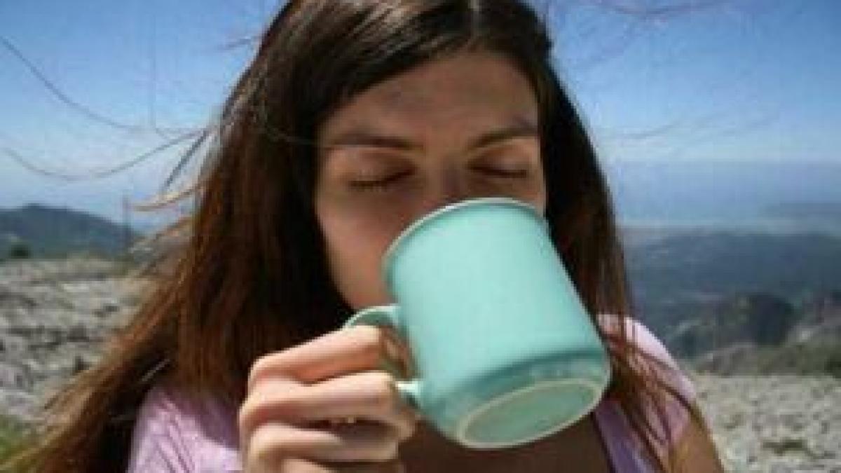 scapa de insolatie cu ajutorul plantelor