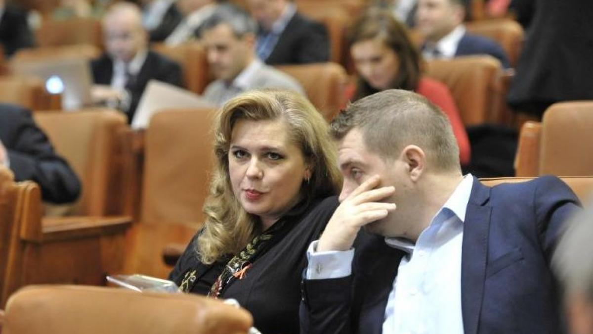 sinteza zilei ce s a intamplat cu casa din mogosoaia a robertei anastase