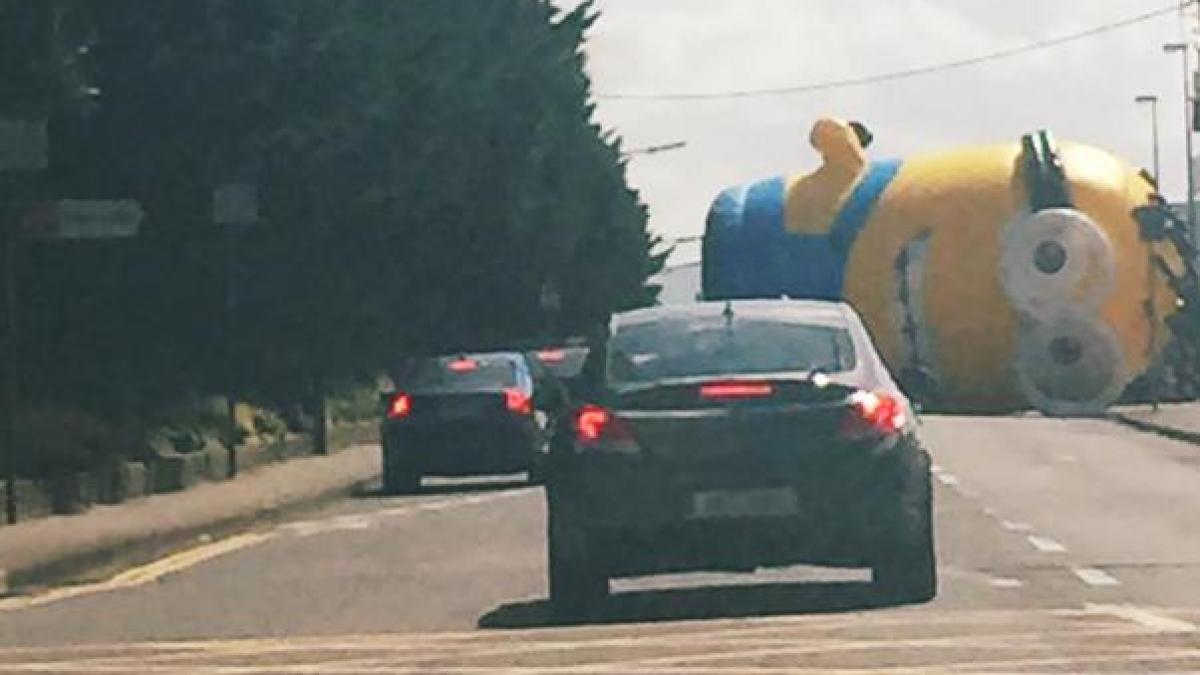 un minion a creat haos in trafic a inceput invazia