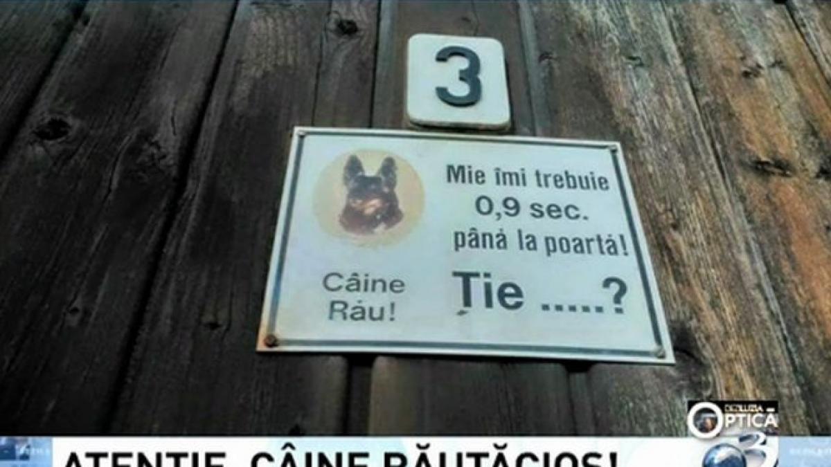 deziluzia optica atentie caine rautacios