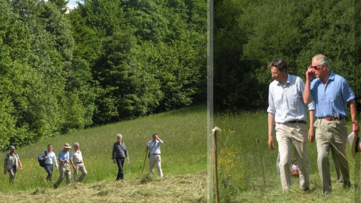 printul charles la bbc radio 4 transilvania detine cheia salvarii planetei