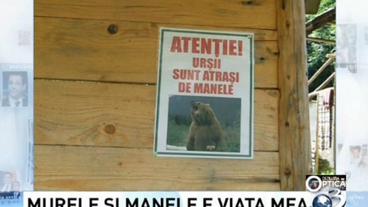 deziluzia optica murele si manelele e viata mea
