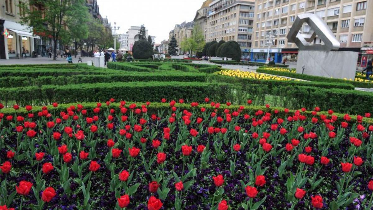 se construieste un nou mall investitia se ridica la 80 de milioane de euro