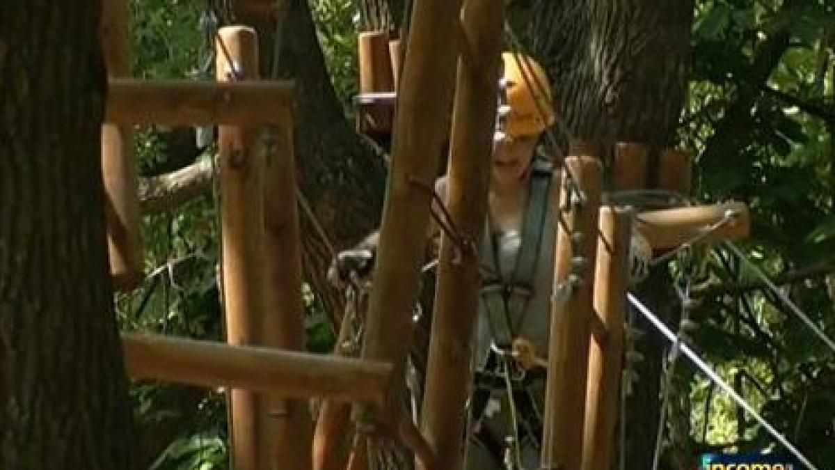 income investitie cu adrenalina la malul marii