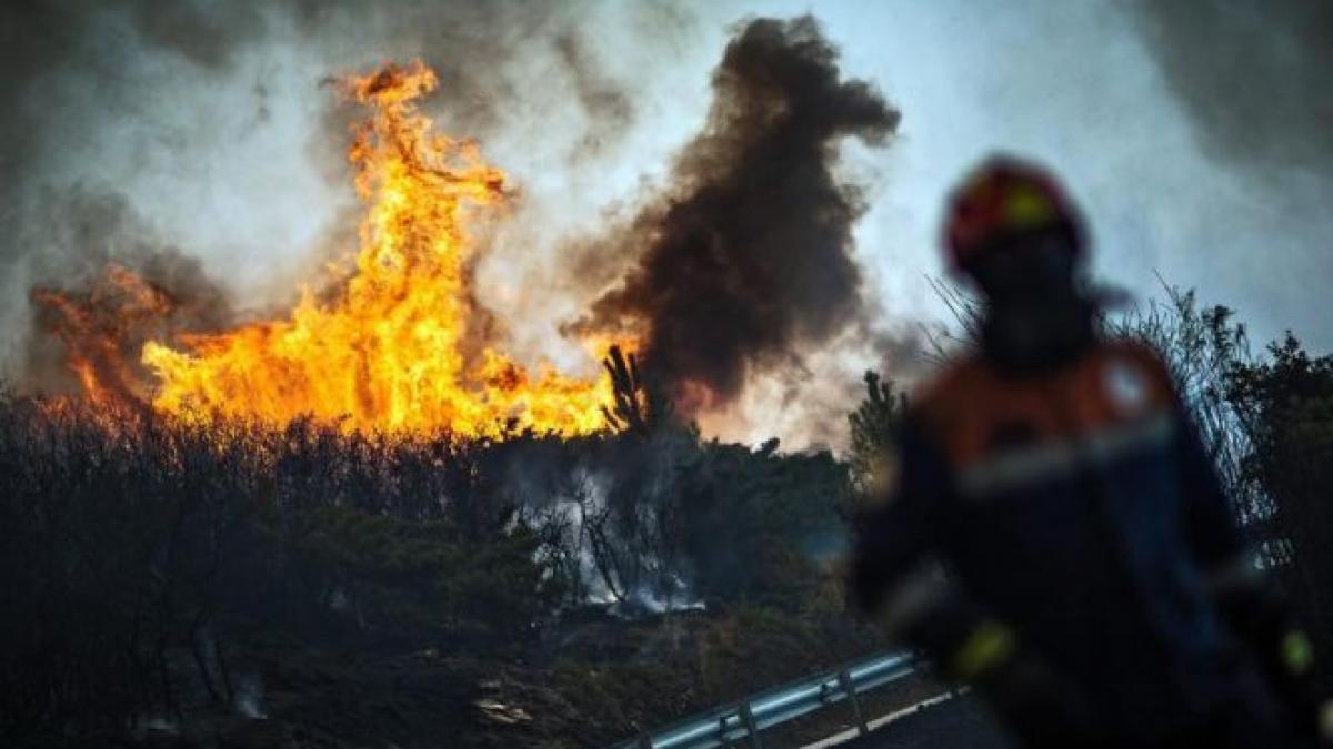 incendiu de proportii in portugalia sute de pompieri au fost mobilizati