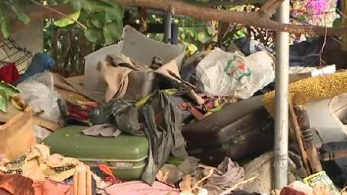 o femeie din hawaii a strans 20 de tone de gunoi in casa