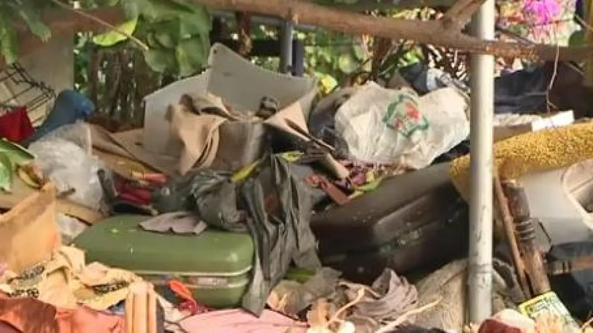 o femeie din hawaii a strans 20 de tone de gunoi in casa