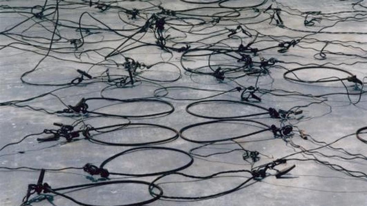 braconieri ucisi in urma unui schimb de focuri cu politia