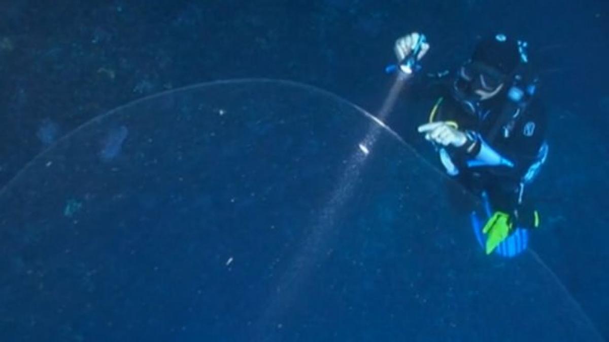 descoperire impresionanta in adancuri o sfera gelatinoasa de marimea unui elefant i a uimit pe