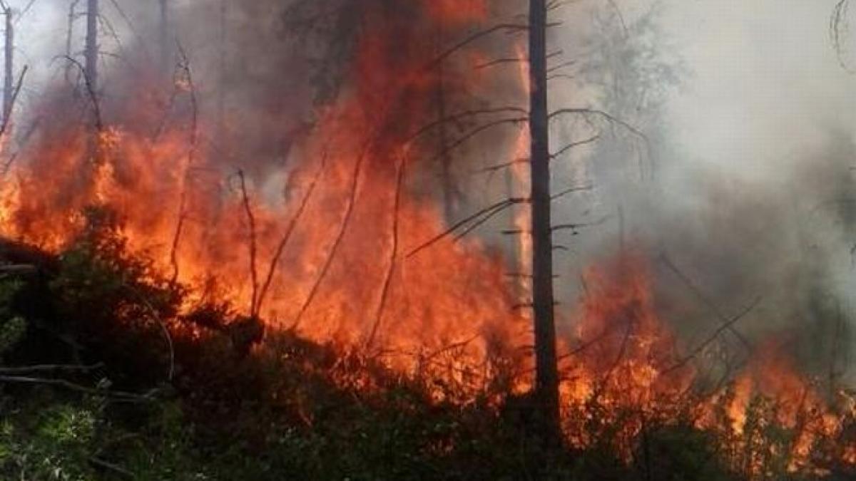 incendiu devastator in romania
