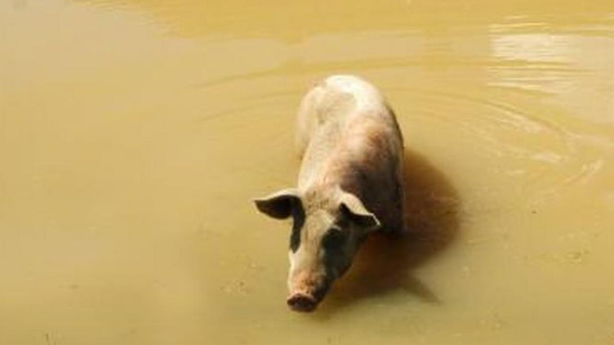 a ajuns la spital desfigurata ce i s a intamplat batranei