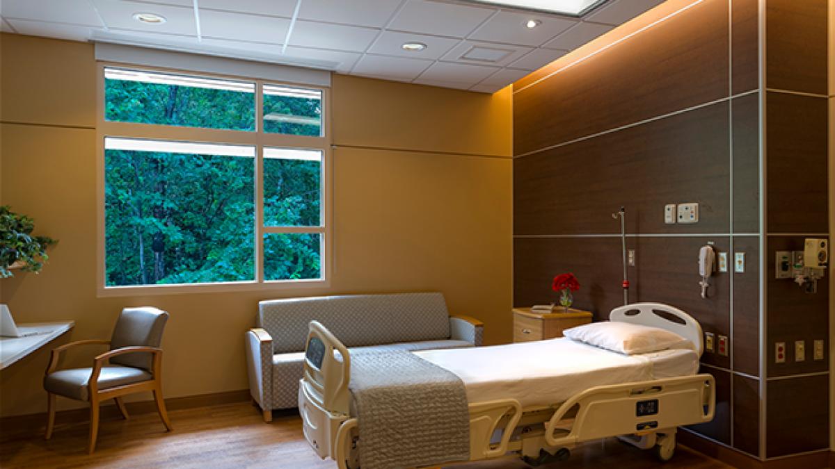 cat costa sa fii internat intr o rezerva de lux