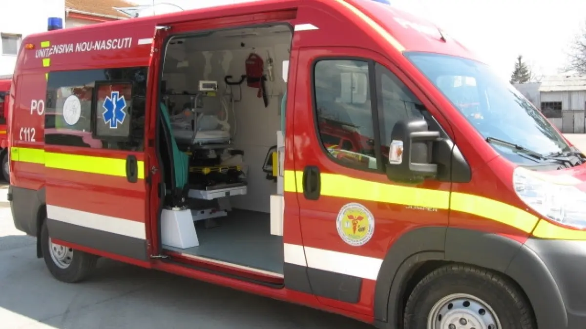 mama si fiu spulberati pe trecerea de pietoni ce facea soferul in momentul accidentului