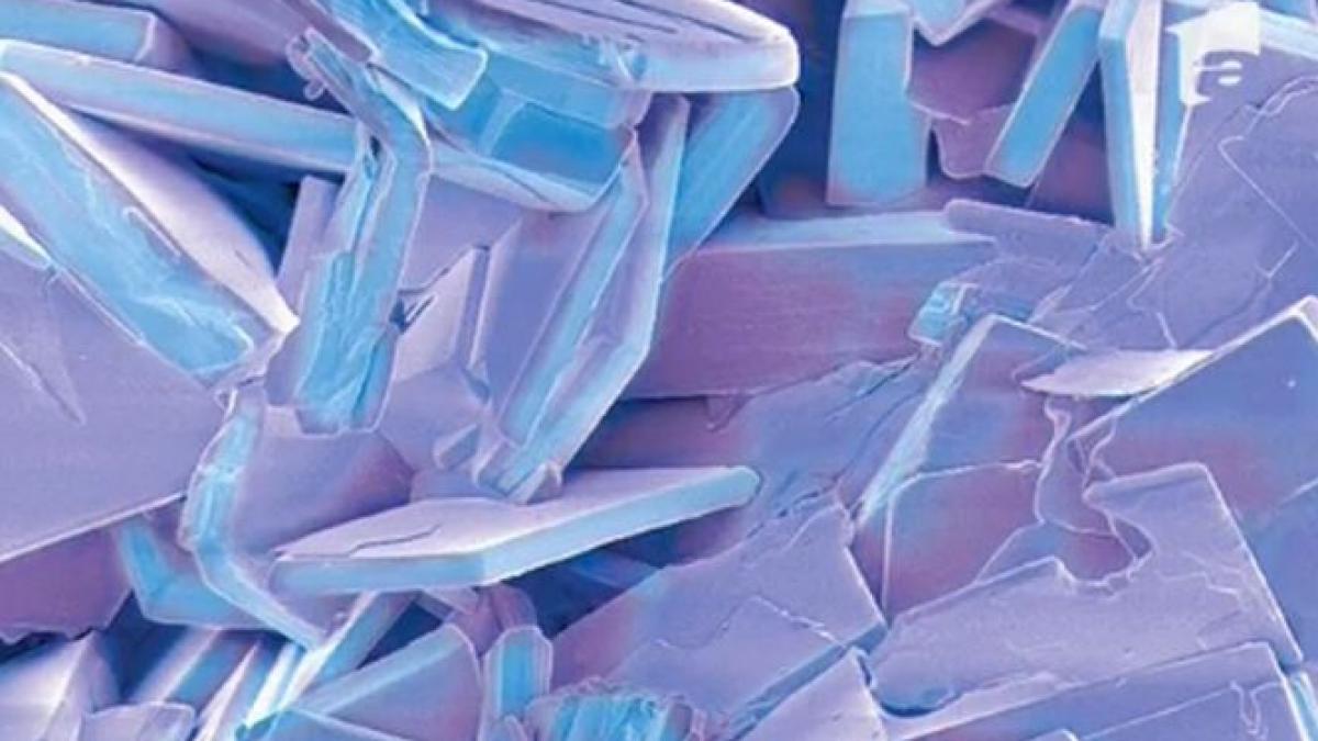 cum arata corpul uman vazut la microscop