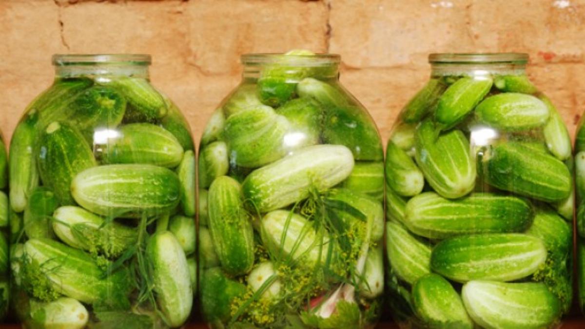 cum sa faci cei mai buni castraveti murati reteta veche a sasilor