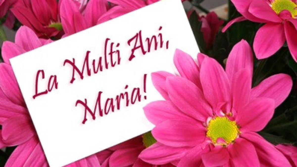 iata ce flori sa le oferi mariilor din viata ta