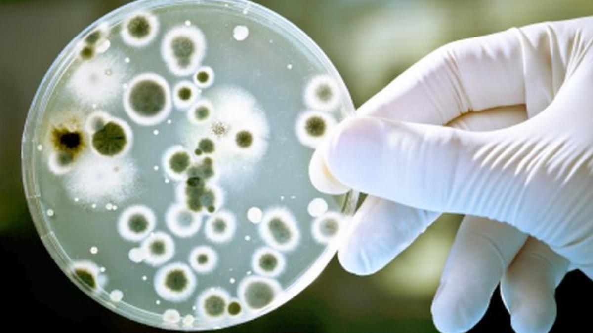 apa infestata cu bacterii periculoase la robinetele romanilor