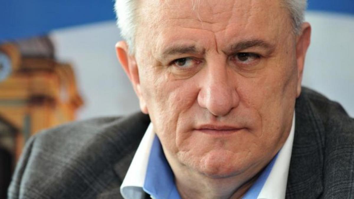 cerere de gratiere falsa in numele lui ovidiu tender