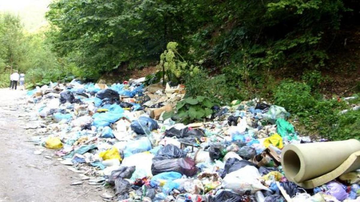 daca faci mizerie aduni gunoiul sau platesti amenda