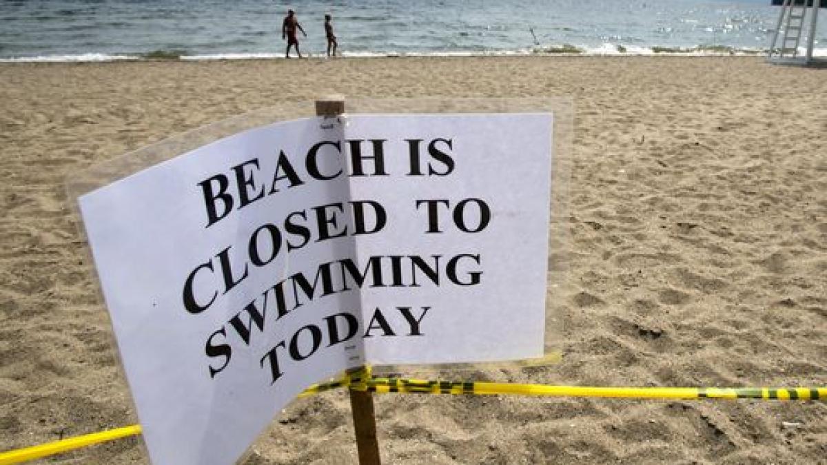 plaje inchise din cauza rechinilor turistii sunt atentionati sa nu intre in apa