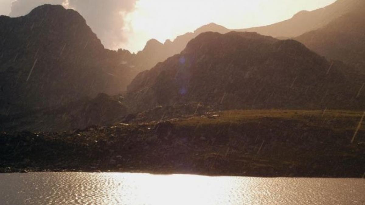 s a aprins padurea de conifere in muntii retezat