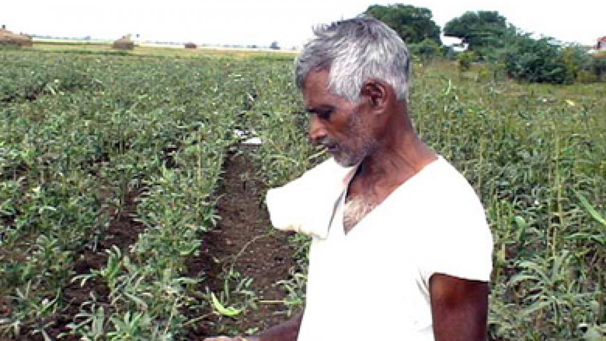 25 000 de oameni vor sa se sinucida in aceeasi zi am pierdut tot