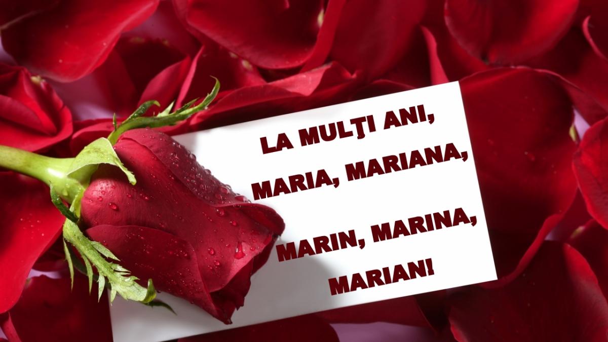 adormirea maicii domnului maria cel mai raspandit nume in romania ce variante folosesc europenii