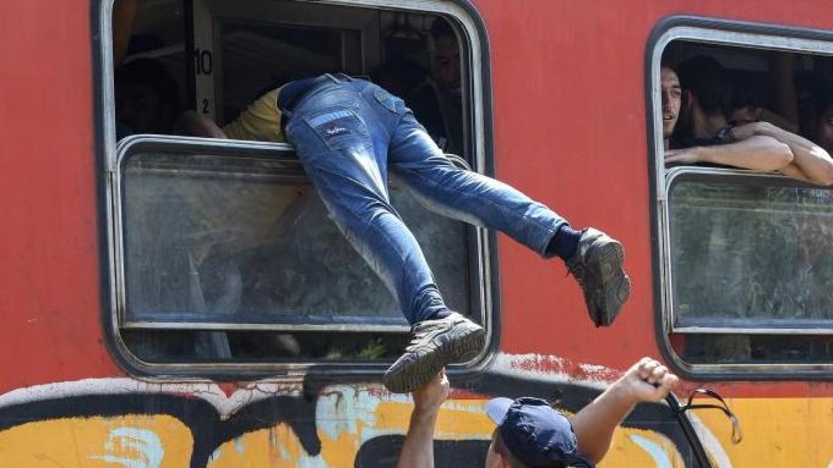 foto povestea din spatele acestei imagini socante