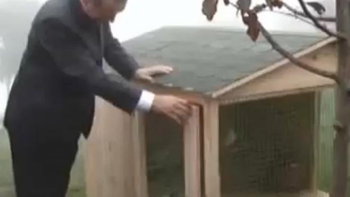 video presedintele turciei a fost atacat de o pasare