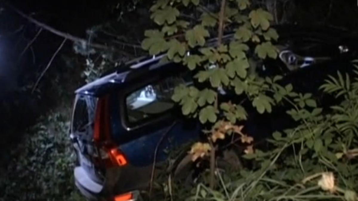 bautura era sa l coste viata un roman stabilit in franta a cazut cu masina intr o rapa video