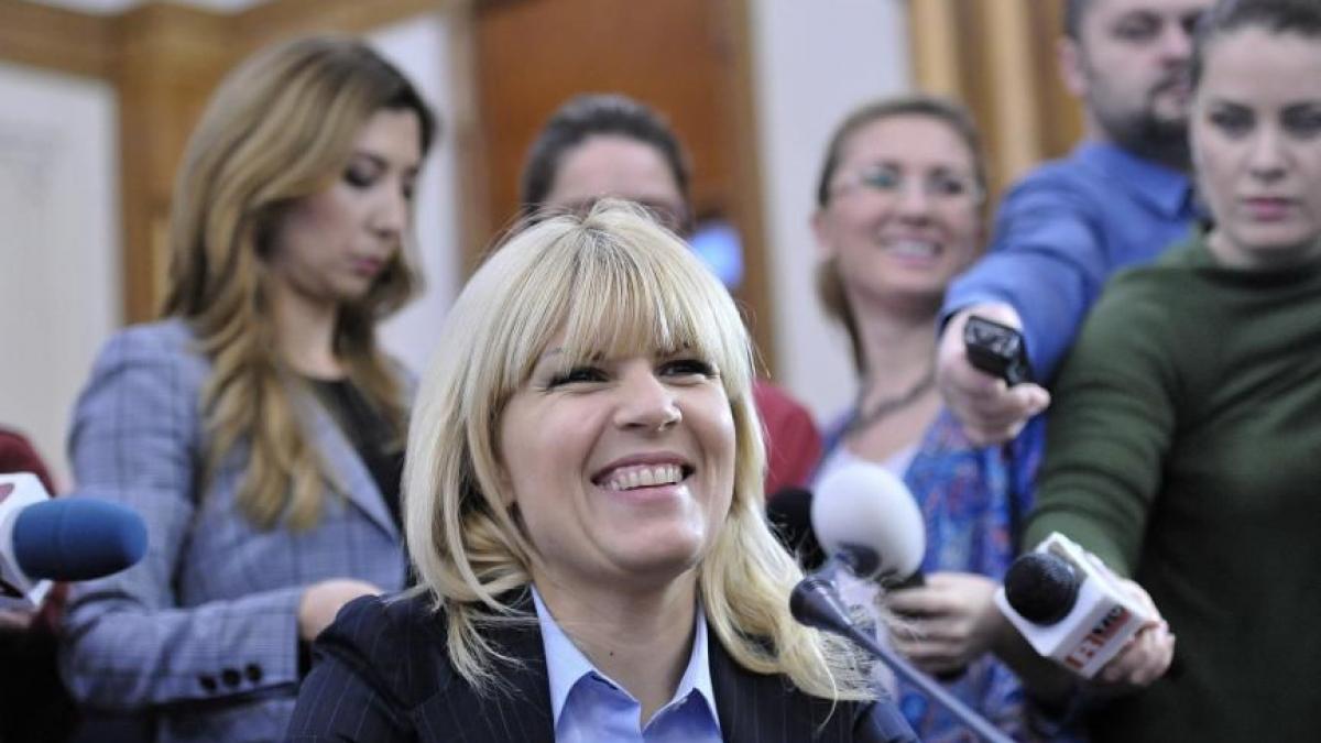elena udrea da vina pe lege pentru dosarul gala bute