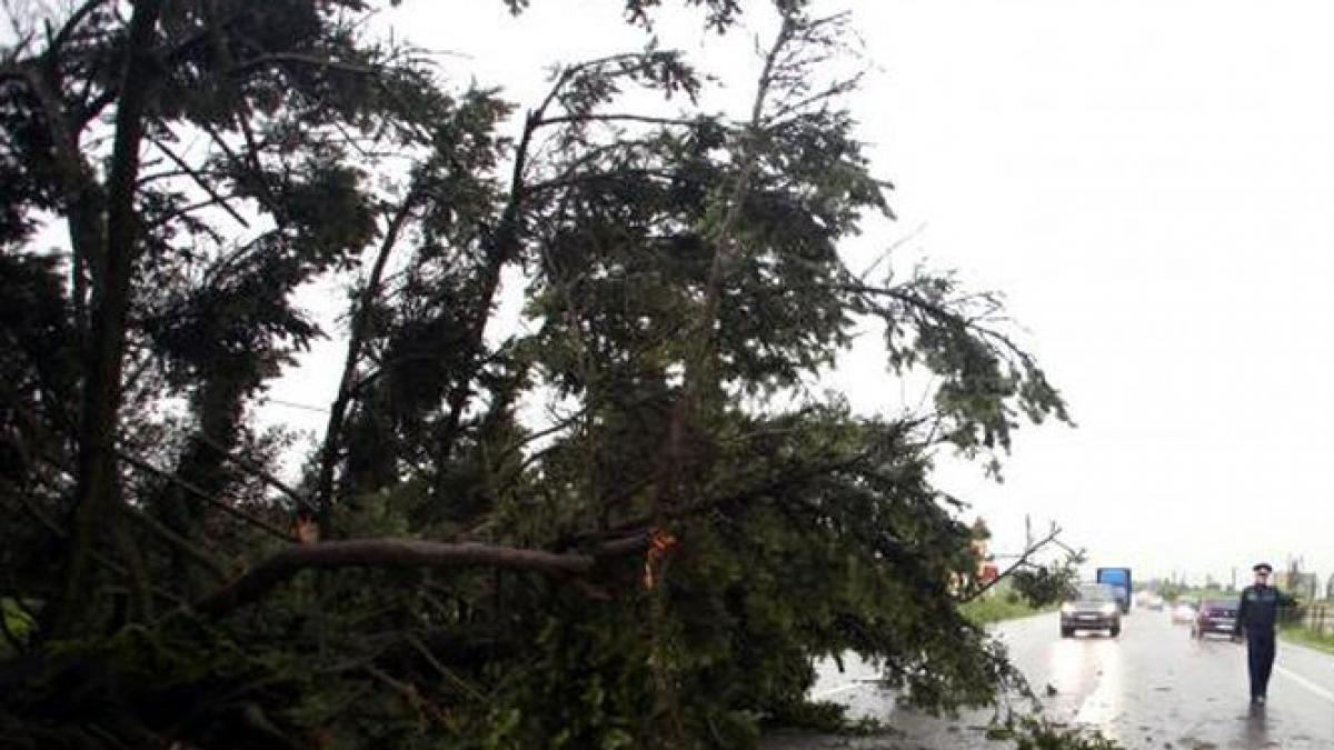 furtuna a facut ravagii pe autostrada arad nadlac cnadnr aproximativ 500 de balize antiorbire au