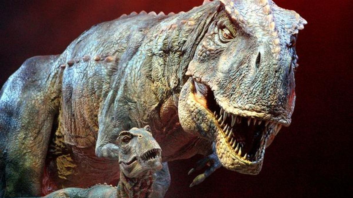 cum arata cea mai veche floare de pe terra are 130 de milioane de ani