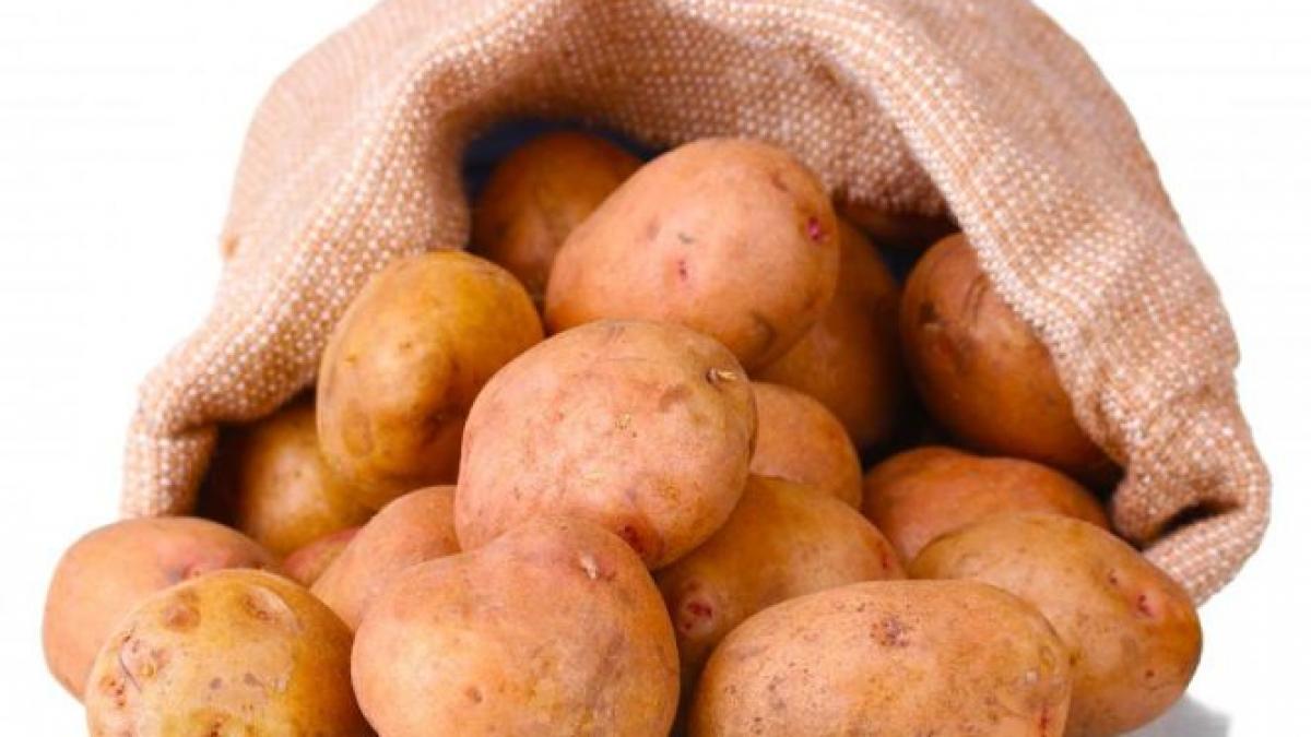 cum se pregatesc politicienii de campanie