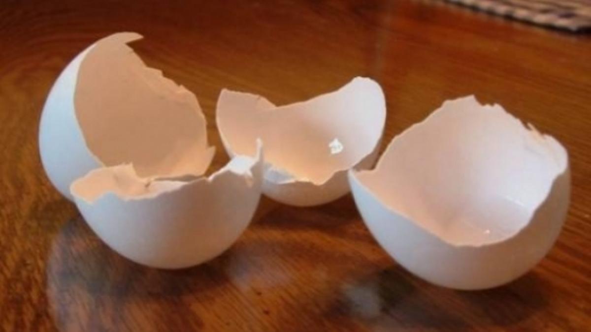 ce efect au cojile de oua asupra cafelei incearca si tu