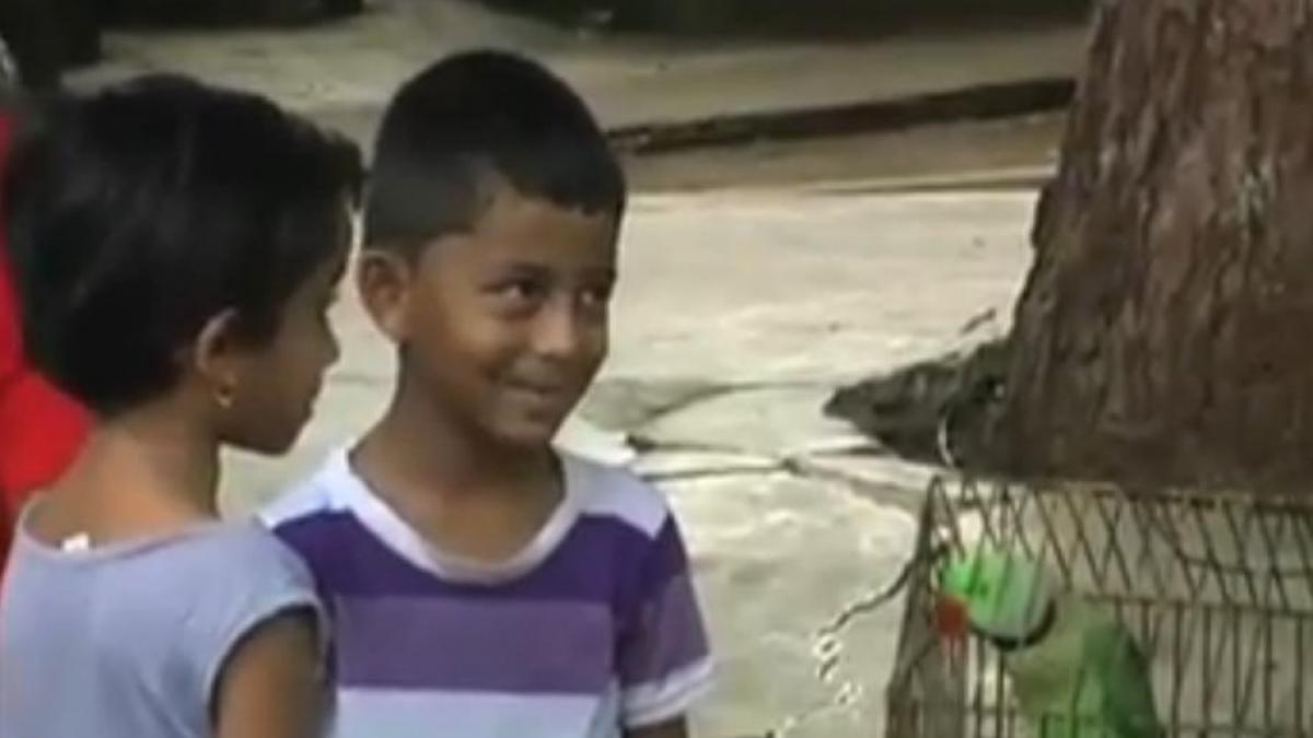 un papagal a fost retinut de politie dupa ce a injurat o femeie de 85 de ani