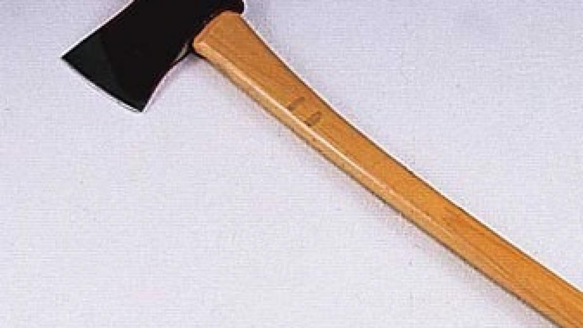 crima oribila i a dat cu toporul in cap