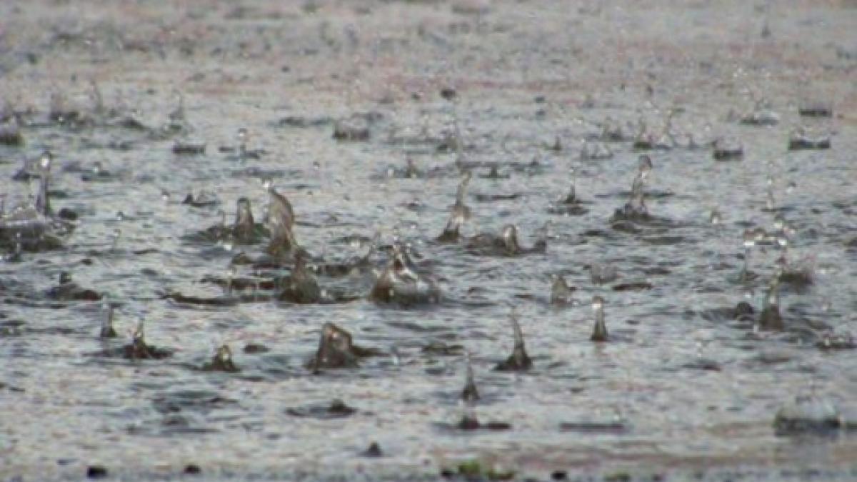 aradul e sub ape dupa o ploaie torentiala canalizarea nu a mai facut fata