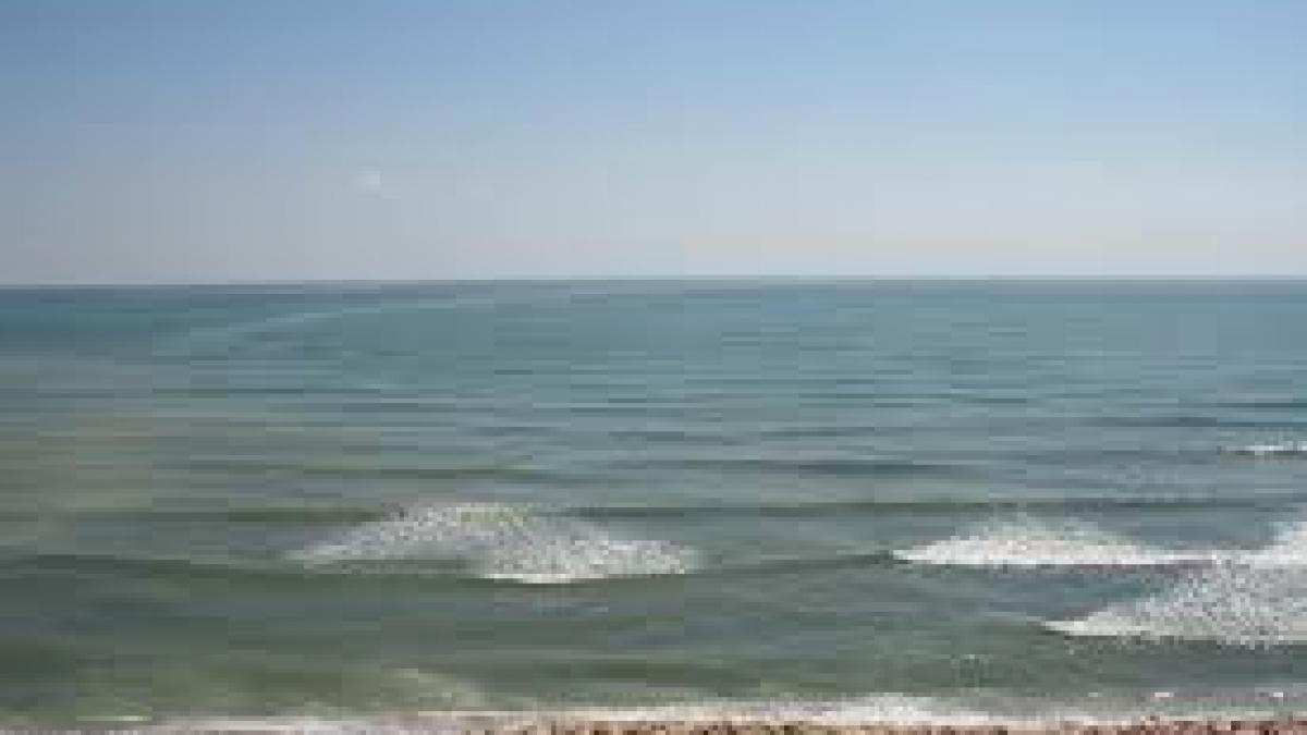 cadavre descoperite in statiunile costinesti si neptun politistii au demarat o ancheta