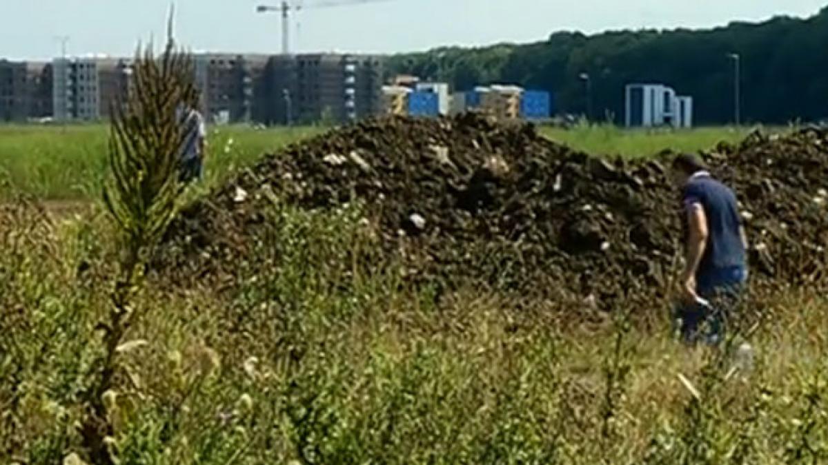 groapa de gunoi pe un teren de lux din nordul capitalei