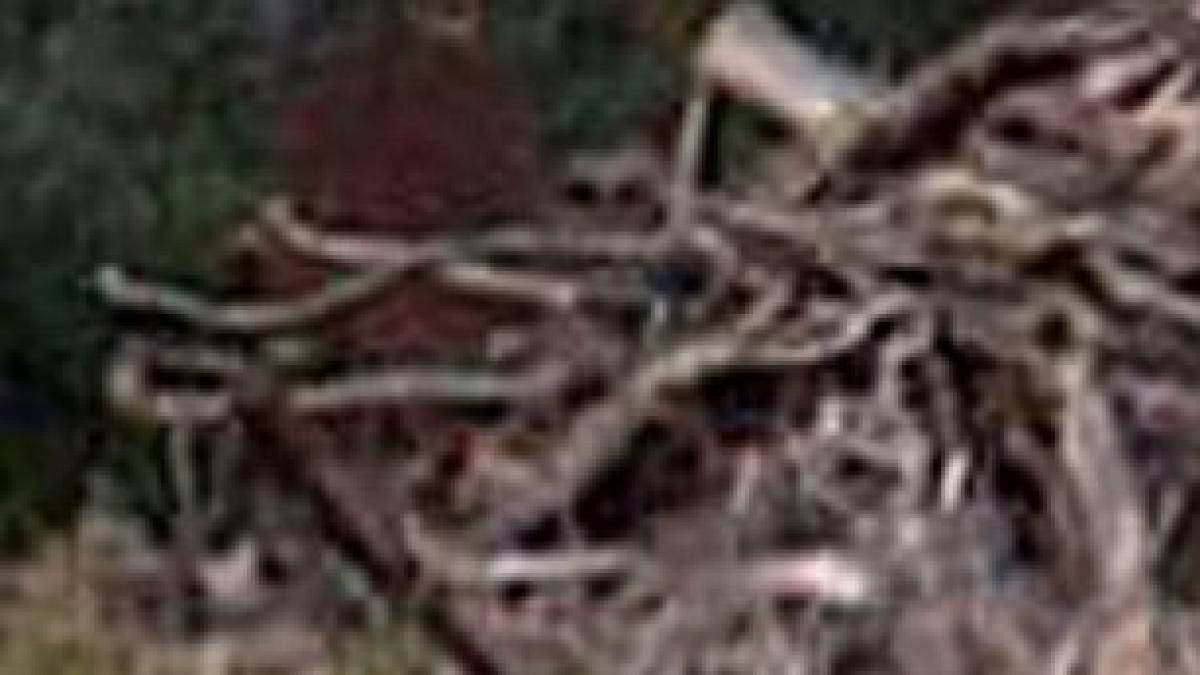 cine este barbatul din aceasta fotografie cel care a facut poza a inlemnit de frica