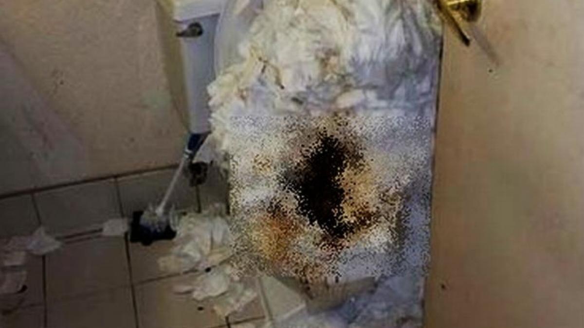 descoperire socanta intr o camera de hotel nimeni nu credea ca un om e capabil de asa ceva