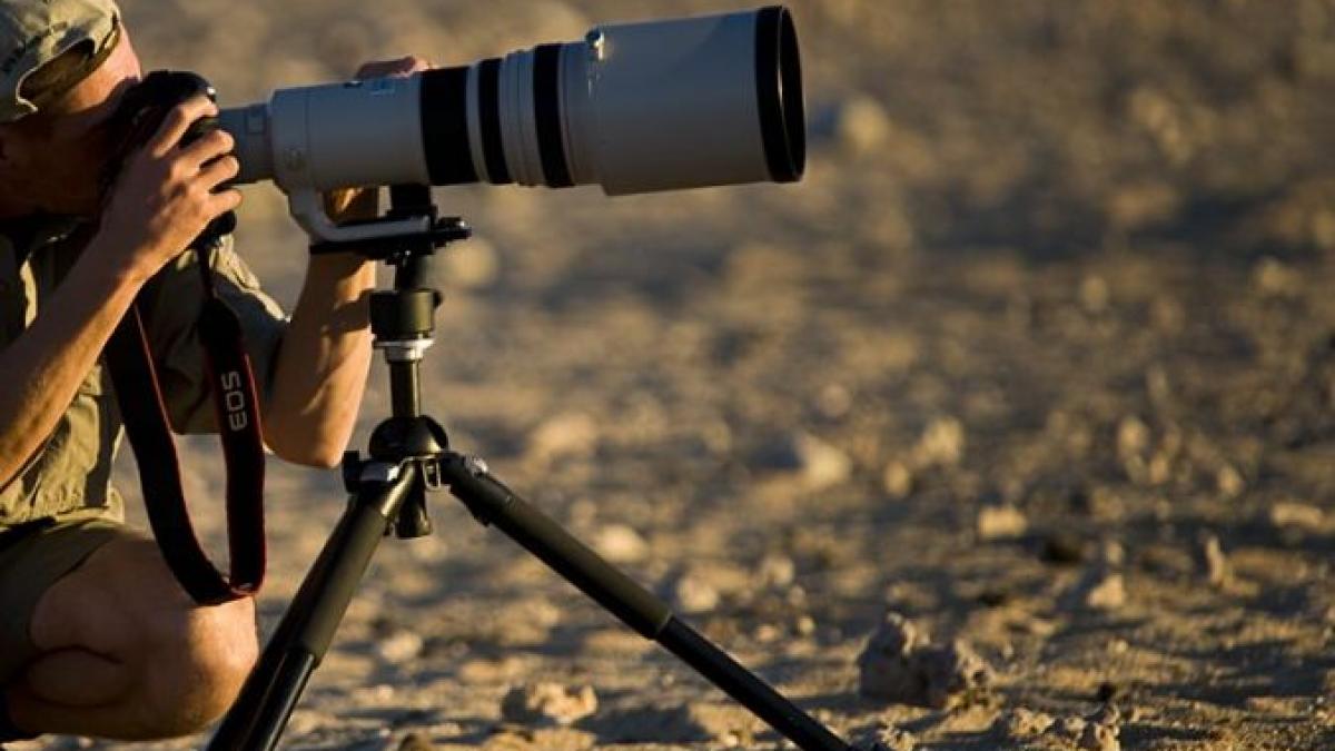 foto prietenie inedita dar periculoasa intr un parc tematic din florida