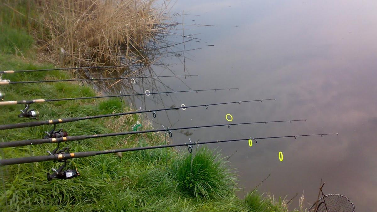 s a dus la pescuit intr o dimineata nu isi inchipuia ca se va alege cu asa ceva